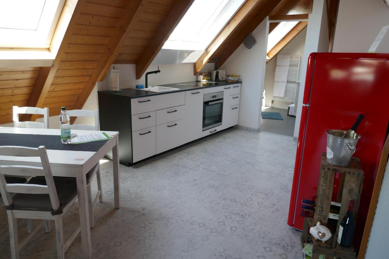 Moderne 2 Zi - Fewo Weinbergliebe Am Tuniberg Zwischen Freiburg Und Frankreich Merdingen Exterior photo